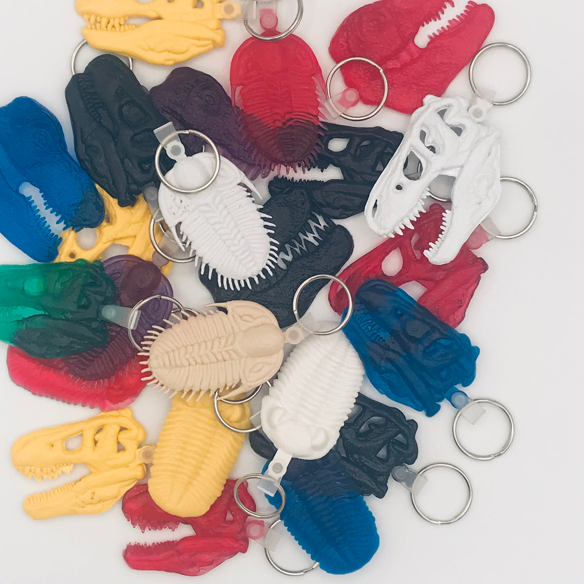 Fossil Key Tags T-rex skull 1-sided – Geo-Tools