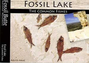 Fossil Lake The Common Fishes