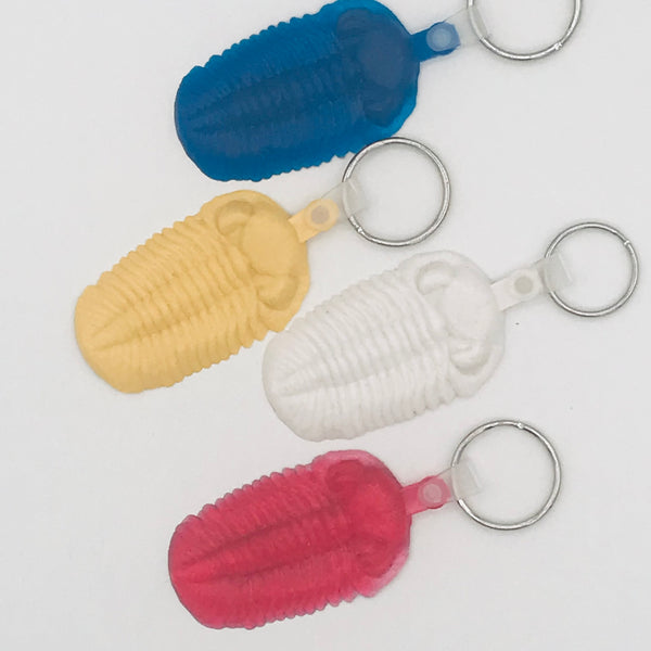 Fossil Key Tags  Trilobite (Phacops)